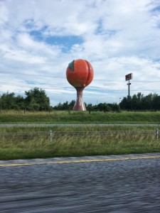 Every time we pass this thing I have this urge to find the world's largest pear of underwear for it.