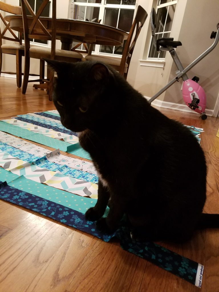 Cat on a Quilt